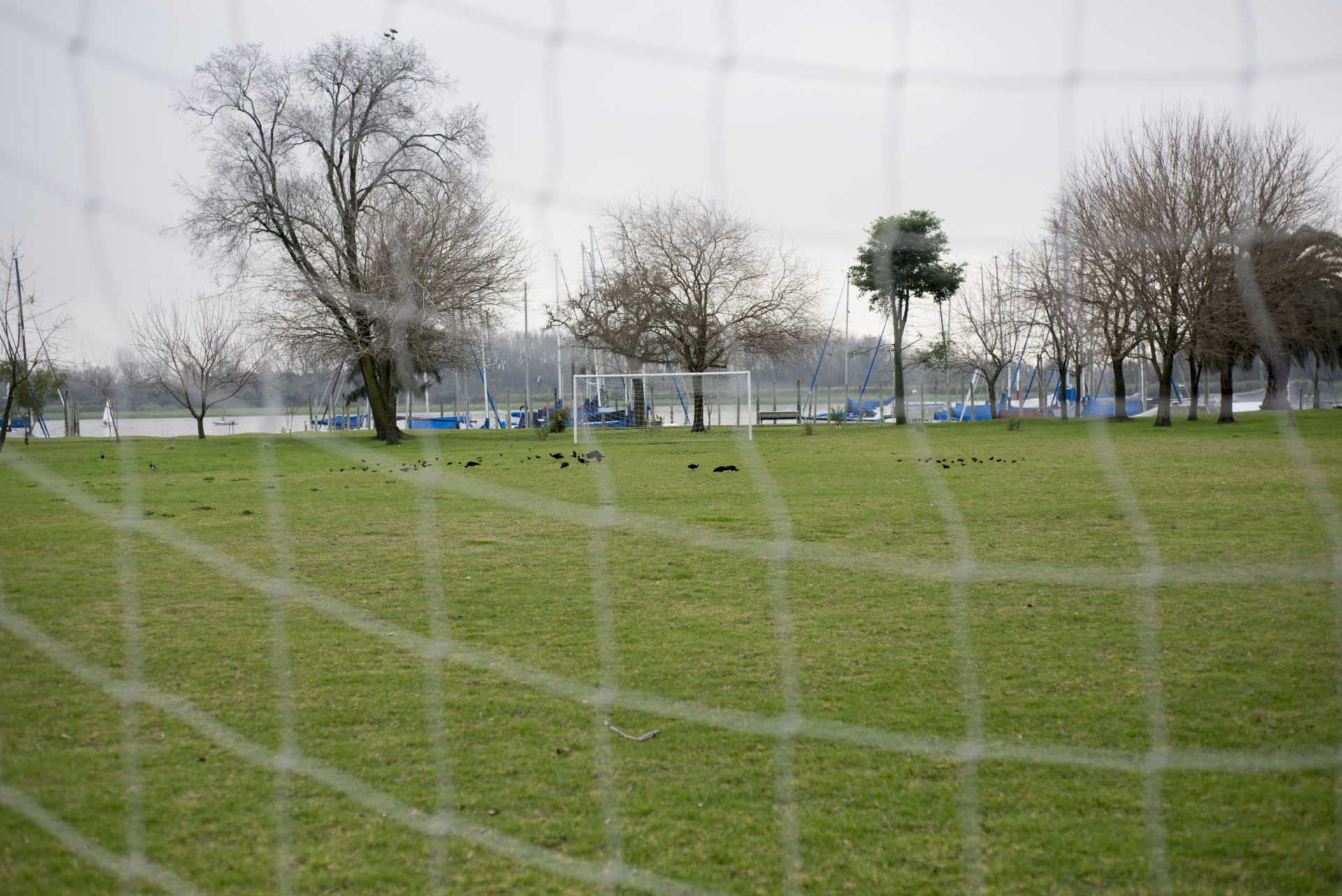 futbol