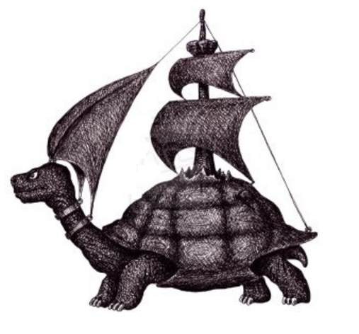 1716747836_TORTUGA.png