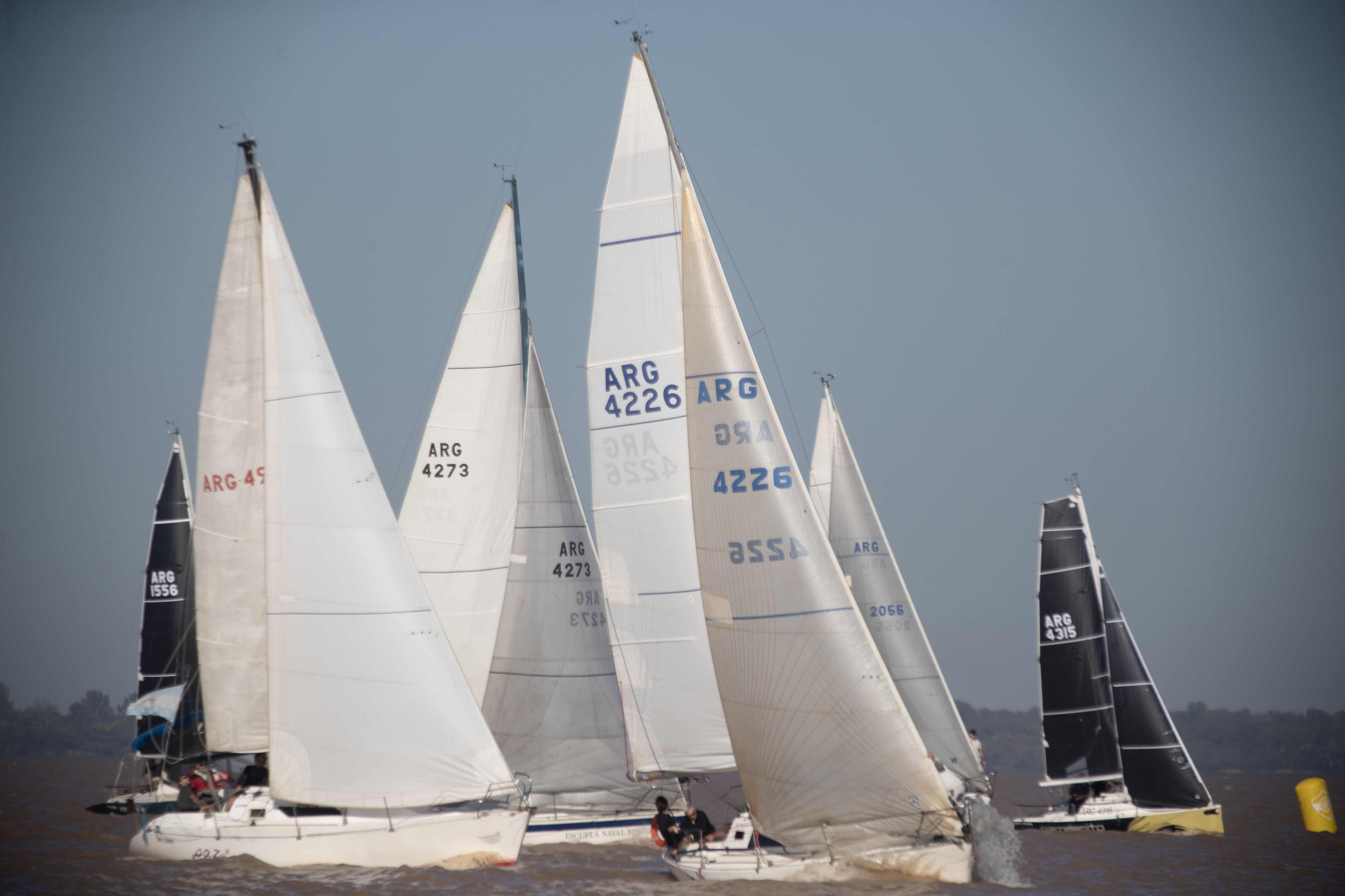1788964568_BANNER.jpg